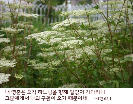 6_copy13.jpg