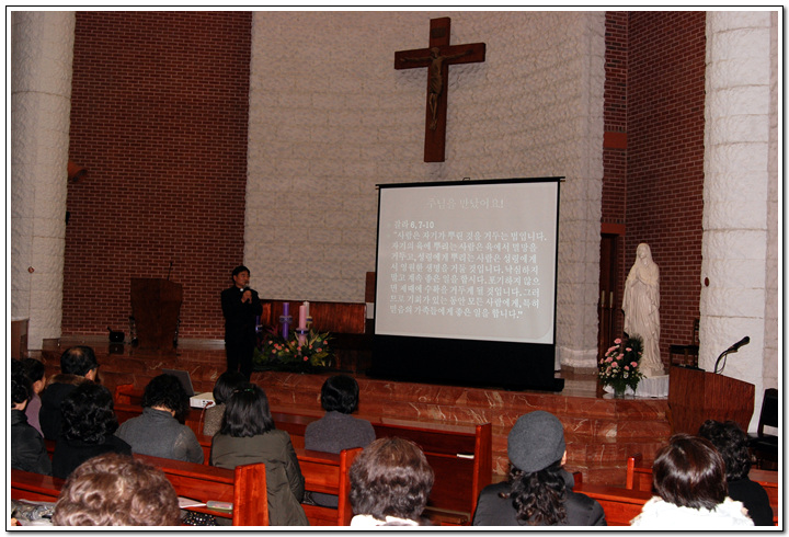 d_2_copy5.jpg