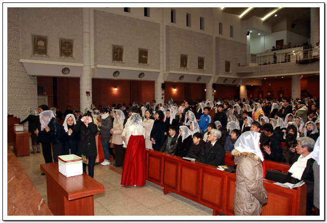 img_9609_11.jpg