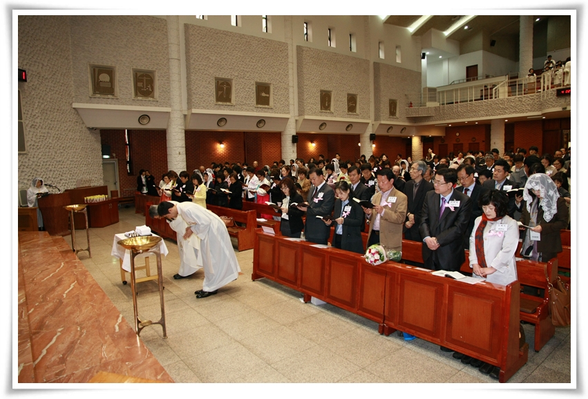 img_96211121.jpg