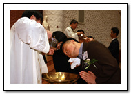 n_11_copy5.jpg