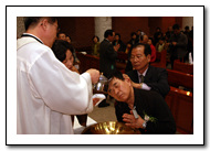 n_13_copy4.jpg