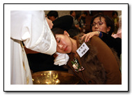 n_20_copy2.jpg