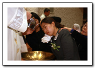 n_21_copy1.jpg