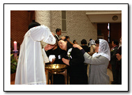 n_24_copy.jpg