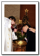 n_5_copy9.jpg