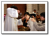 n_6_copy8.jpg