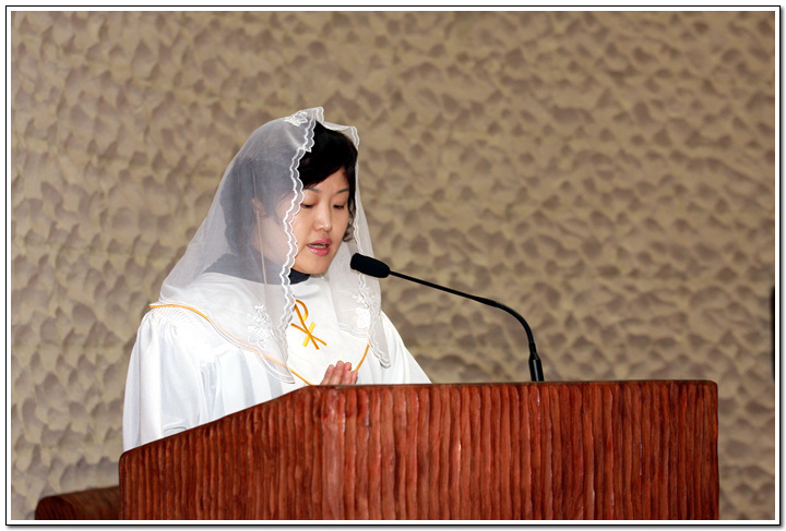 t_11_copy.jpg