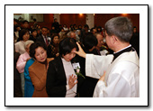 t_14_copy1.jpg