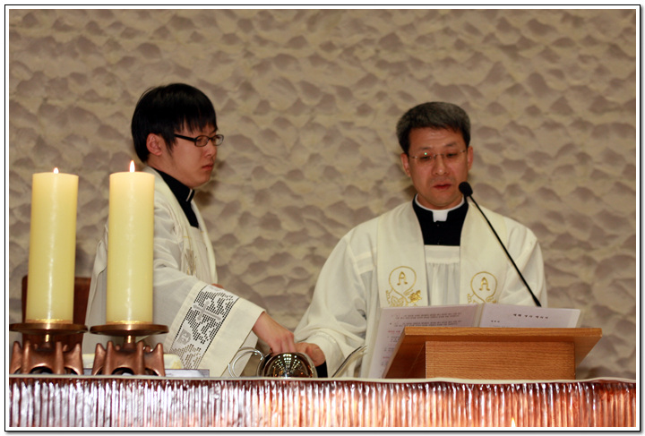 t_24_copy.jpg
