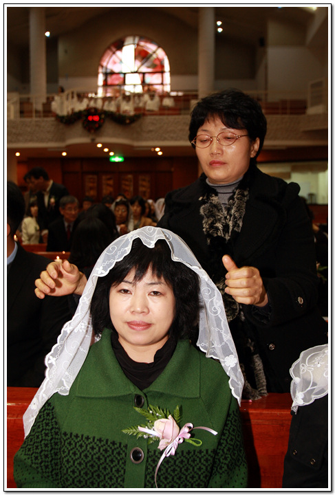 t_26_copy.jpg