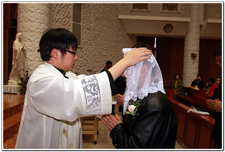 t_28_copy.jpg