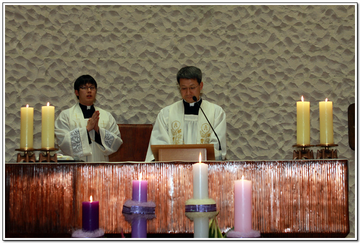 t_3_copy3.jpg