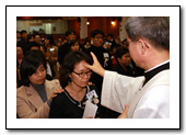 t_3_copy5.jpg